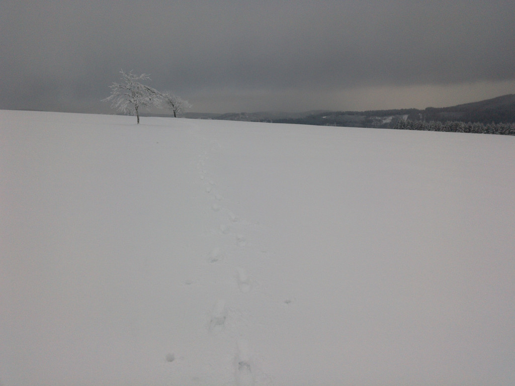Weg übers freie Feld. Bei Sommer sicherlich gut zu erkennen, aber so ...