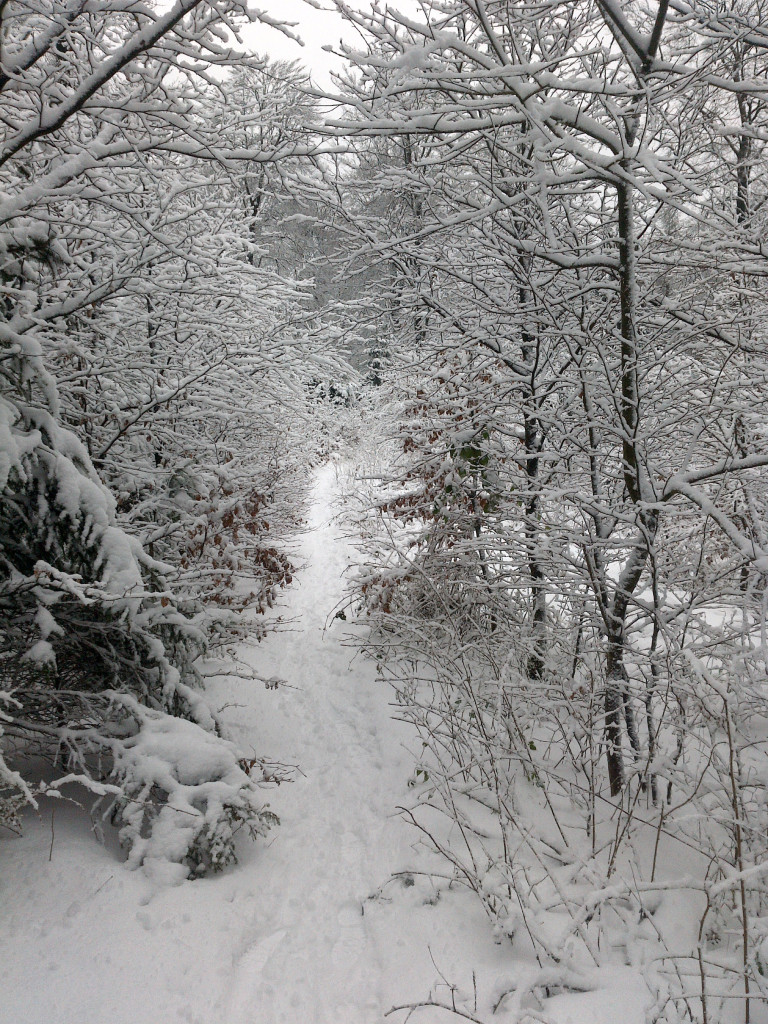 Schnee, Schnee, Schnee ...