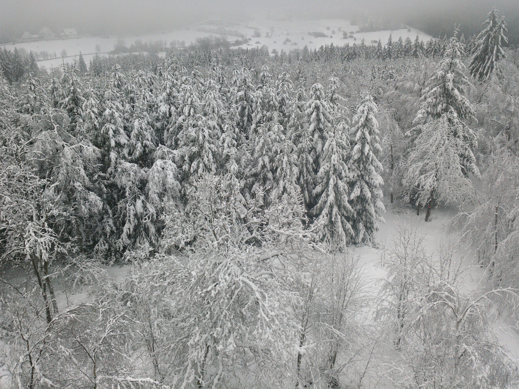 Blick vom Giller Aussichtsturm