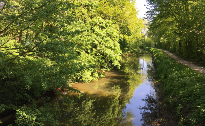 Hermannsweg, Etappe 1: Von Rheine nach Hörstel